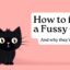 How to feed fussy cats