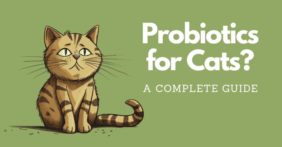 Probiotics for Cats