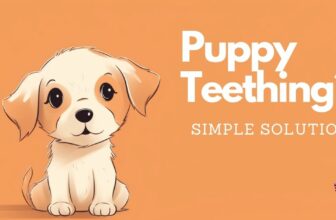 Puppy Teething Solutions