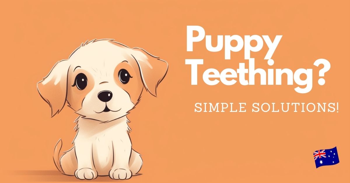 Puppy Teething Solutions