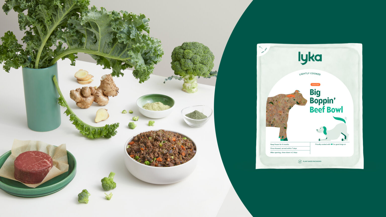 Lyka Dog Food Review