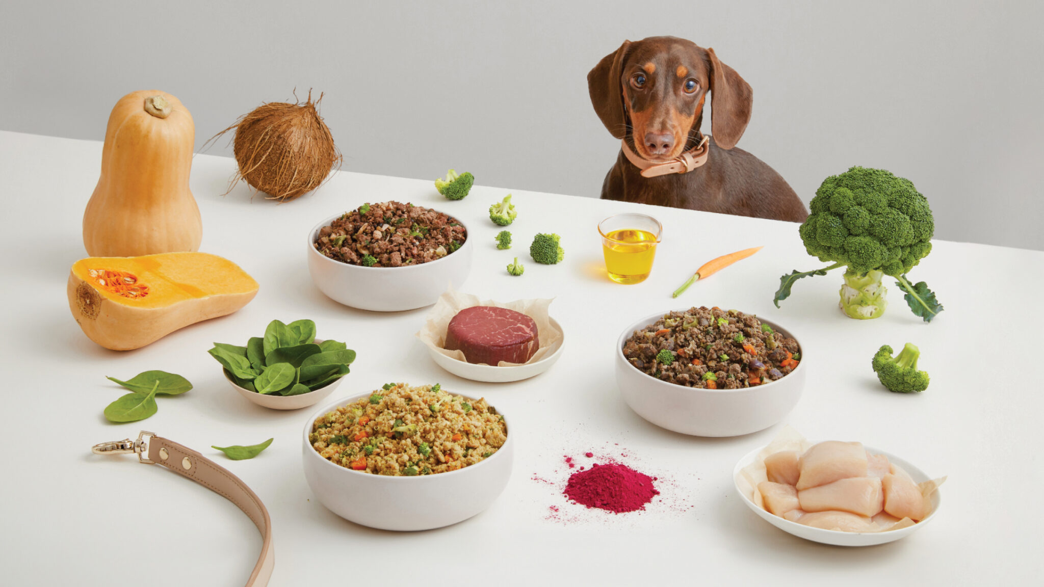 Lyka Dog Food Review