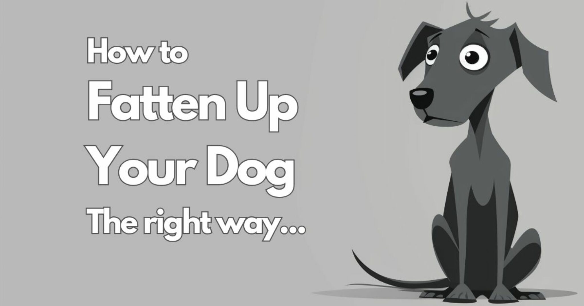 How to fatten up your dog