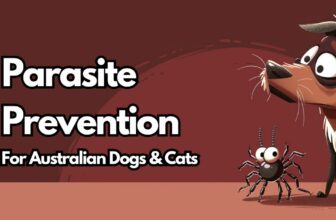 Parasite prevention in dogs and cat