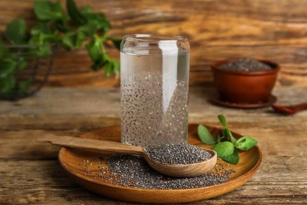 Chia pudding for dogs