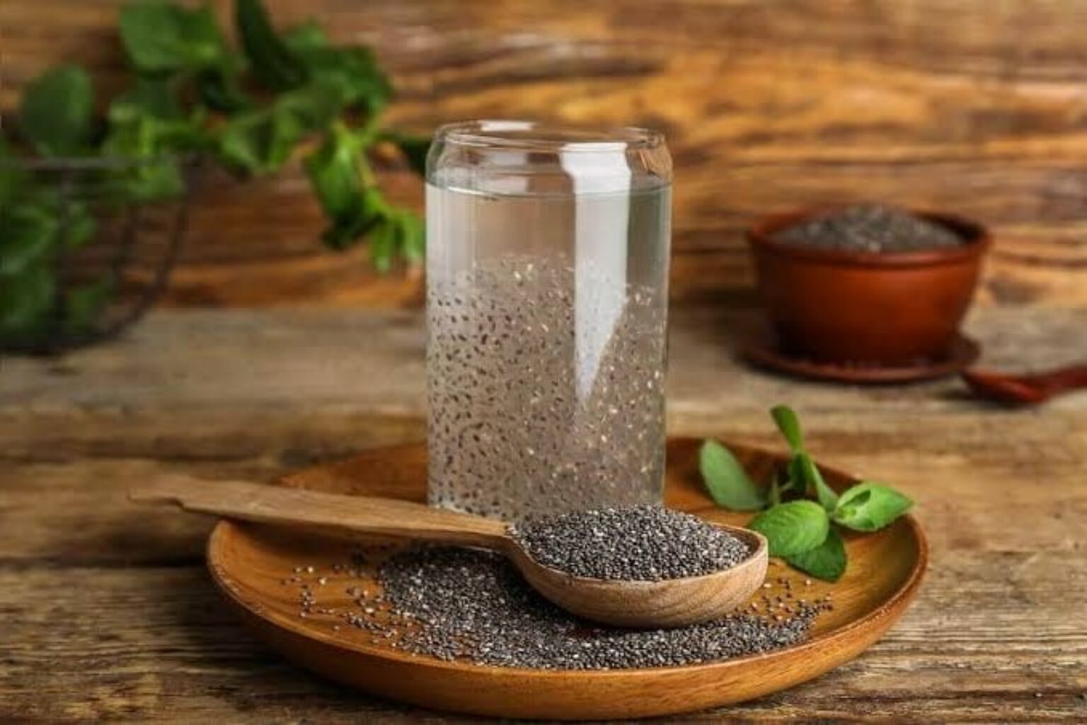 Image showcasing Why Chia Seeds are great for Dogs!