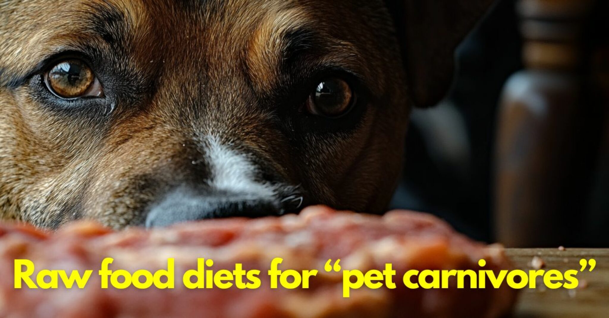 Raw Food Diet For Dogs Dental Health