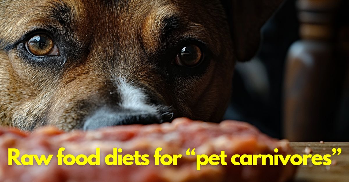 Photo inspiration: Fresh Look at Raw Food Diet For Dogs Made Simple