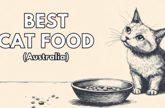 Best Cat Food Australia