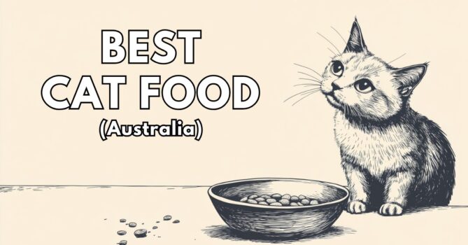 Best Cat Food Australia