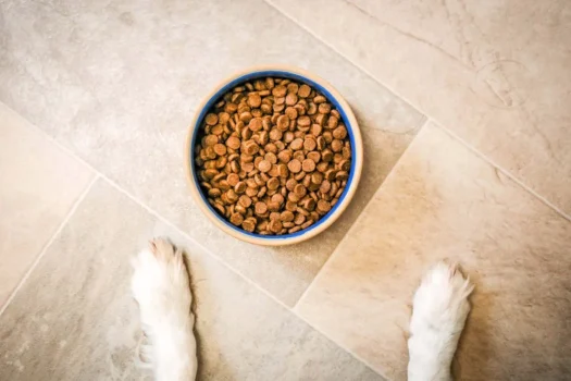Best Puppy Food Australia