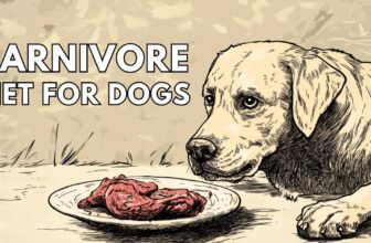 Carnivore diet for dogs