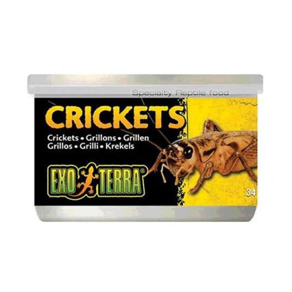Exo Terra Crickets Small