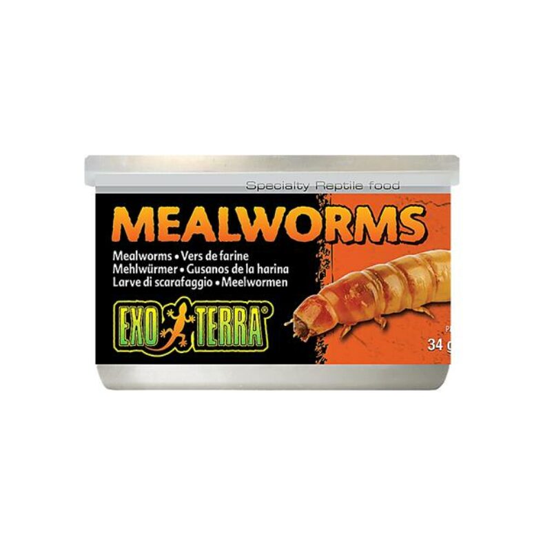 exo-terra-mealworms-pet-food-reviews-australia