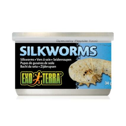 Exo Terra Silkworms Medium