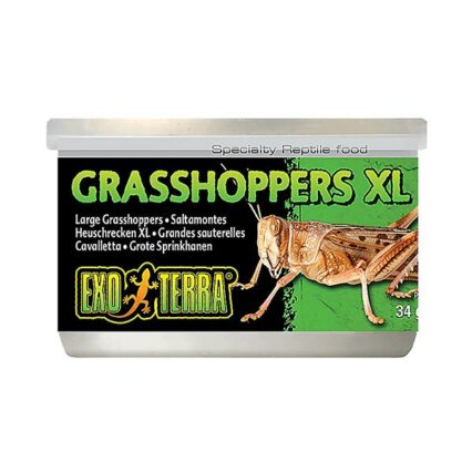 Exo Terra Wild Grasshoppers