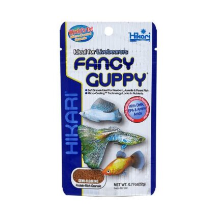 Hikari Fancy Guppy