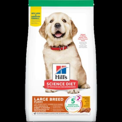 Hills Large Breed Puppy Dry