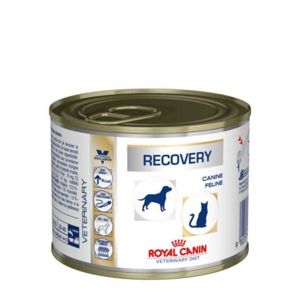 Royal Canin Recovery Wet Food