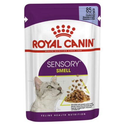 Royal Canin Sensory Smell Jelly Wet Cat Food