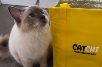 8 CatChi Cat Food Review