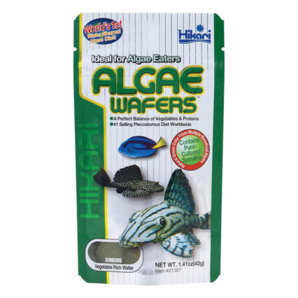 Hikari Tropical Algae Wafers Fish Food 40 Gm