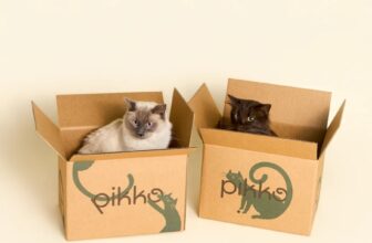 Pikko cat food review