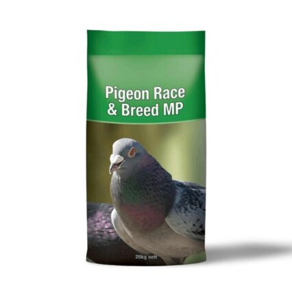 Laucke Pigeon Race And Breed Mp