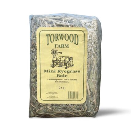 Torwood Farms Mini Rye Grass Bale