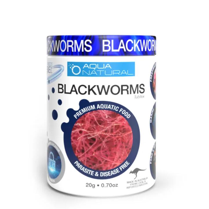 Aqua Naturals Freeze Dried Blackworms Fish Food 1 Aqua Naturals Freeze Dried Blackworms Fish Food