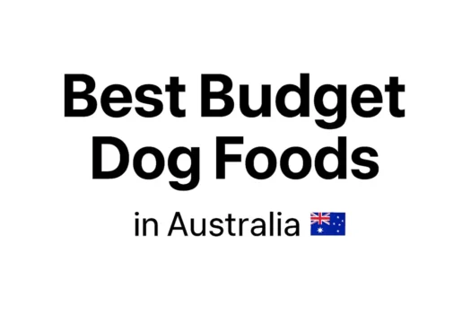 Best Budget Dog Food Australia
