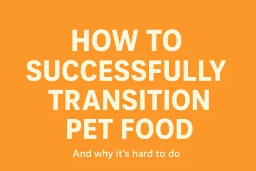 How to transition dog food and cat food