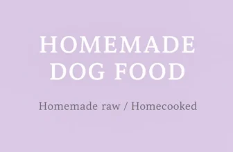 47 Homemade Dog Food