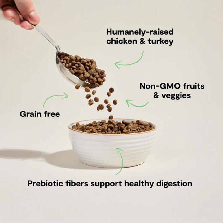 Open Farm Puppy Chicken And Ancient Grains Dry Dog Food 1 Open Farm Puppy Chicken And Ancient Grains Dry Dog Food