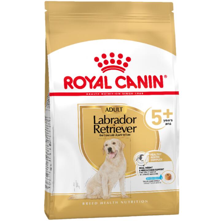 Royal Canin Labrador Retriever Adult 5 Plus Dry Dog Food 1 Royal Canin Labrador Retriever Adult 5 Plus Dry Dog Food