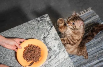 Tyga Cat Food Review