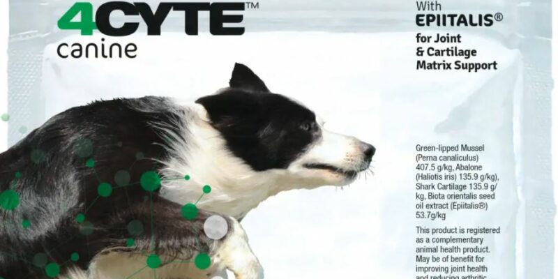 11 4CYTE for Dogs (4CYTE Canine) Review