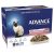 Advance Adult Ocean Fish In Jelly Wet Cat Food Pouches 12 X 85g