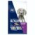 Advance Large Adult Dry Dog Food Lamb With Rice
