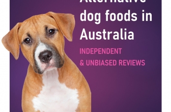 Alternative dog food reviews