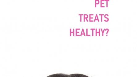 10 Are pet treats healthy?