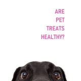 Are pet treats healthy?