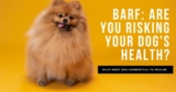 BARF Diets: Are you risking your dog’s health?