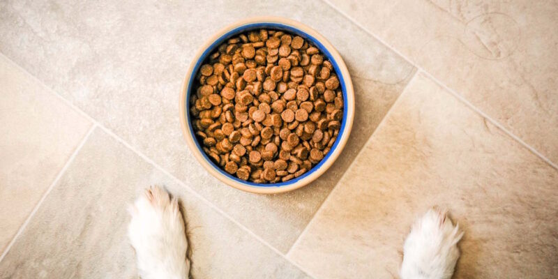 13 Best Dog Food in Australia (2025)