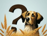 Hypoallergenic Dog Foods: What You Need to Know