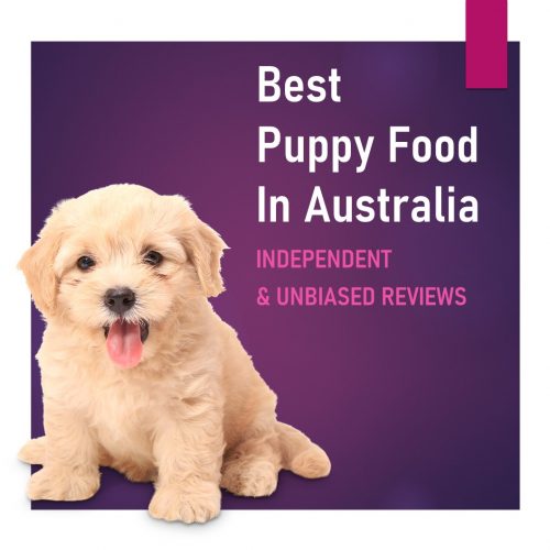 Best Puppy Food In Australia