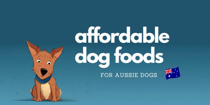 11 Best Affordable Dog Food in Australia