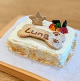 Birthday cakes for dogs!