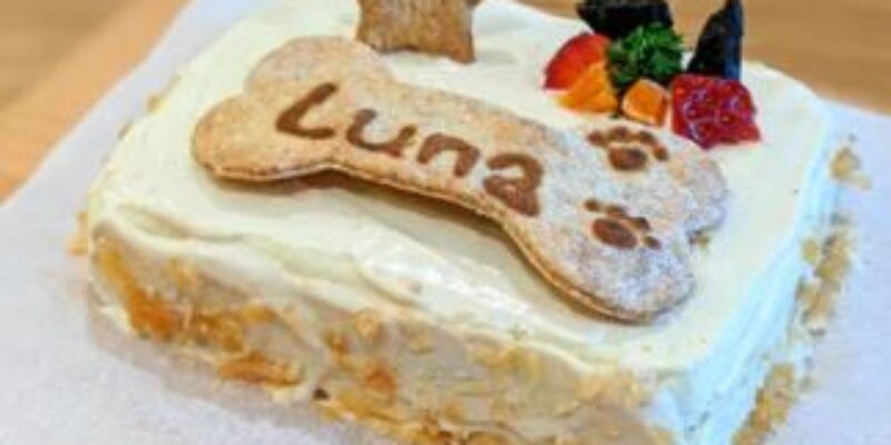 13 Birthday cakes for dogs!