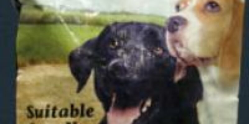 10 Boomer Dog Food Review